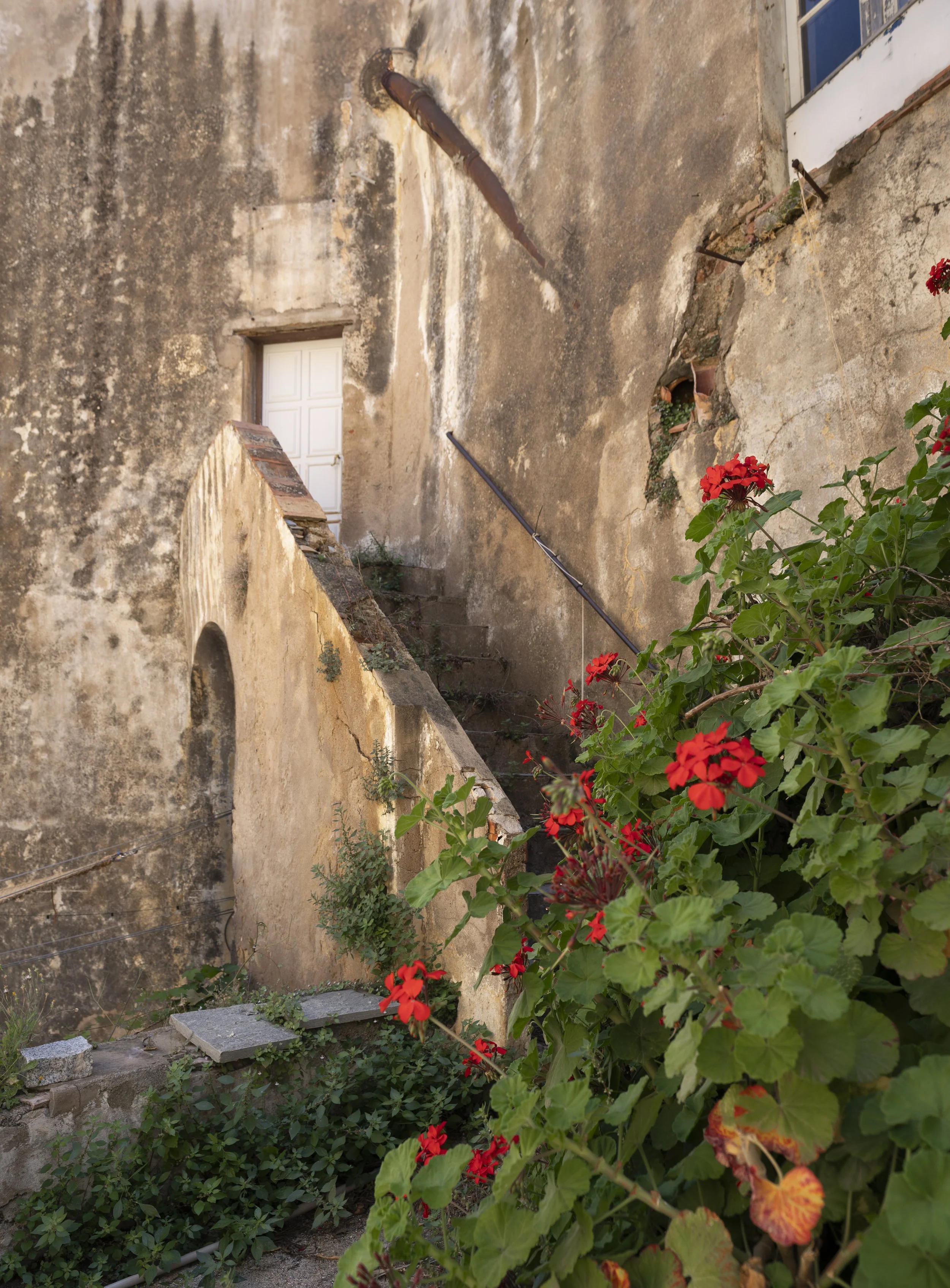 Citadel de Calvi - Calvi, Corsica, France