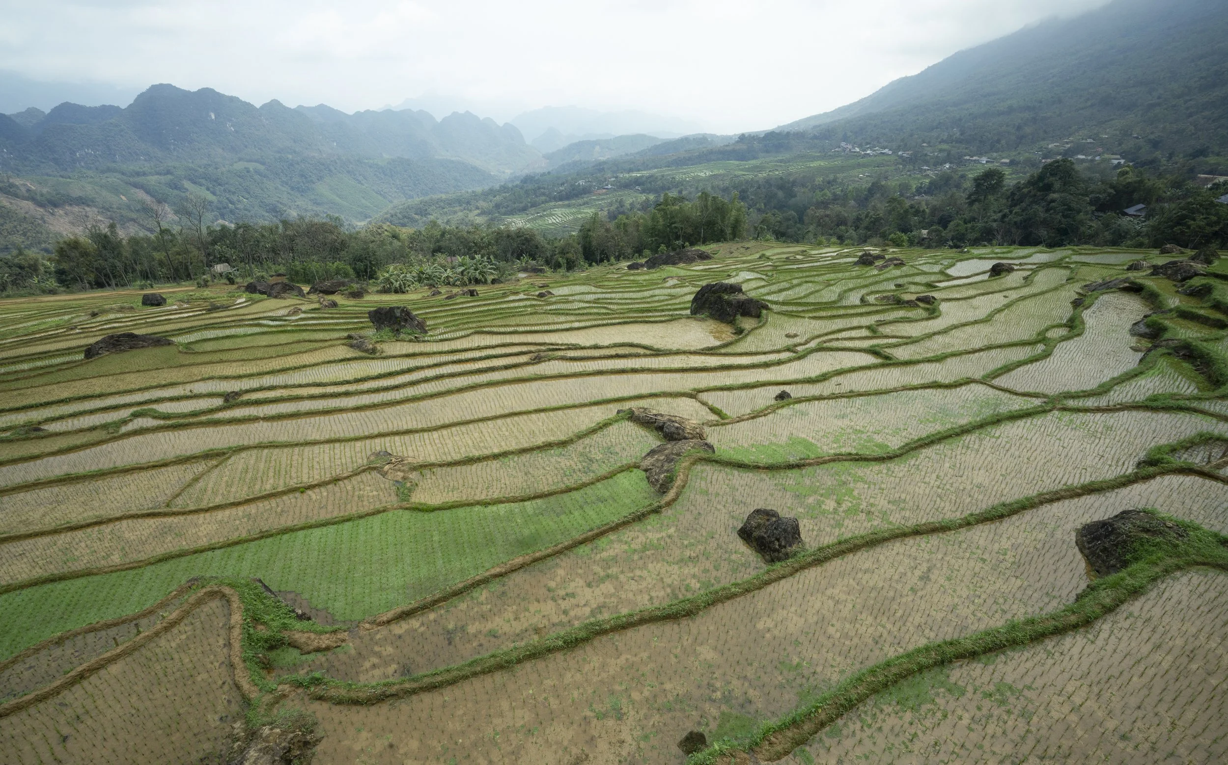 Vietnam 2025-15.jpg