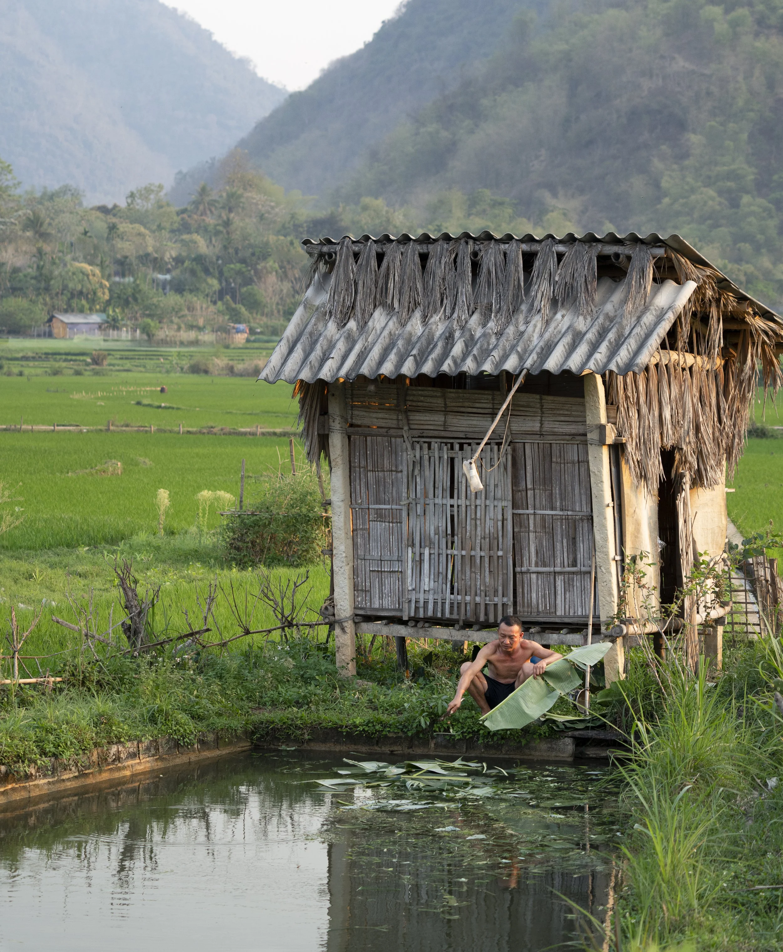 Vietnam 2025-9.jpg