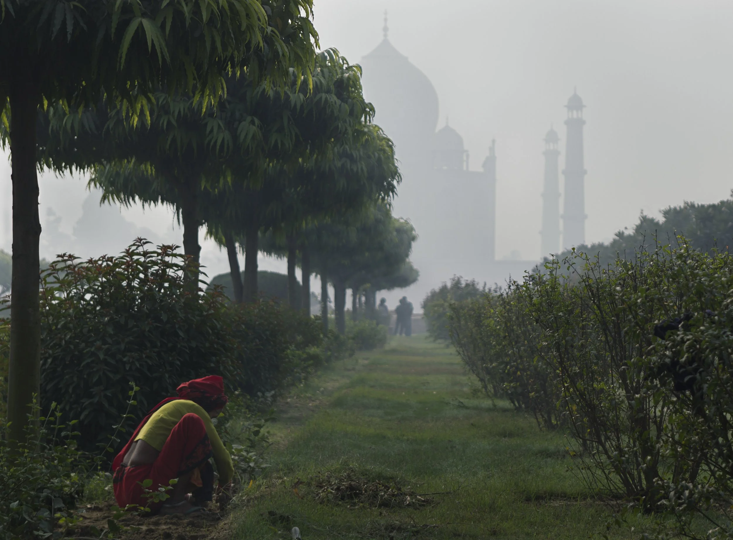 Mehtab Bagh (Gardens) behind the Taj Mahal - Agra
