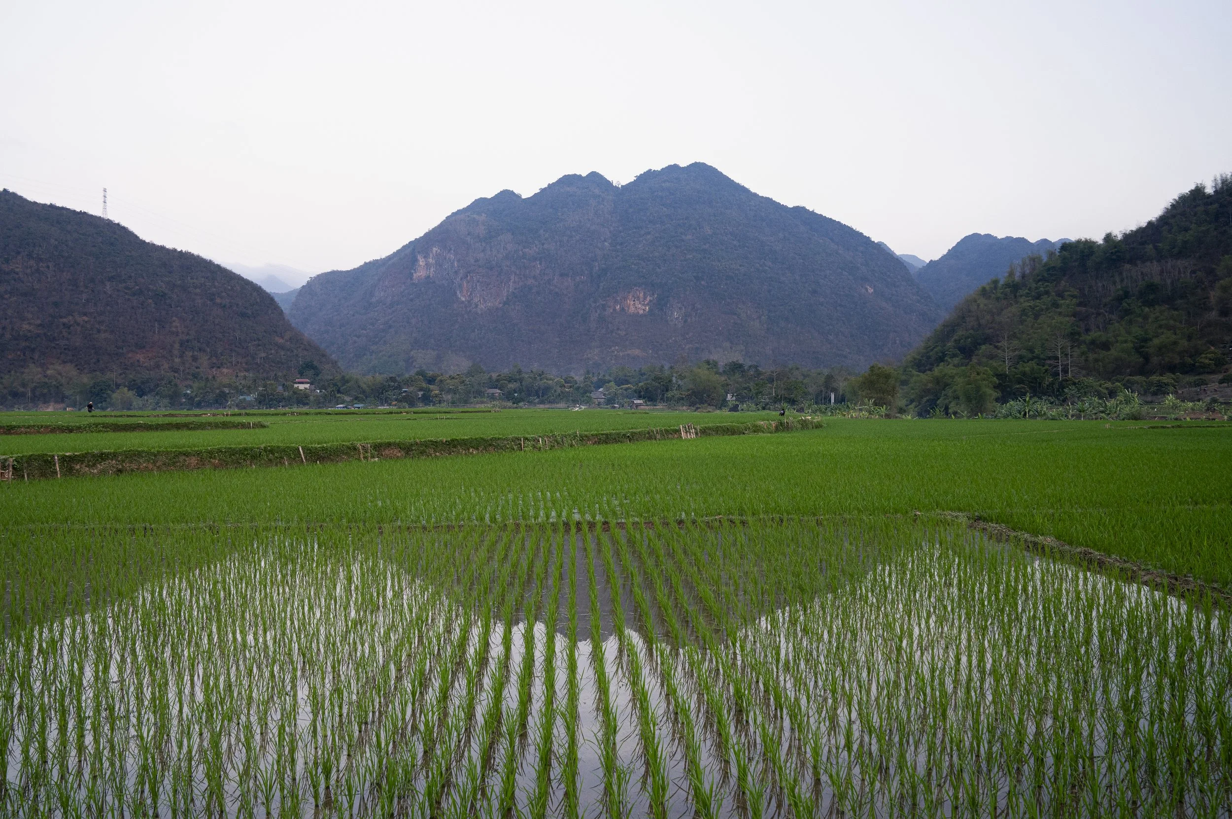 Vietnam 2025-11.jpg