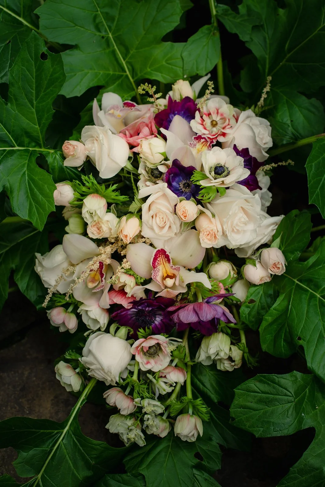 Ph. @miguelvelasquezfotografo