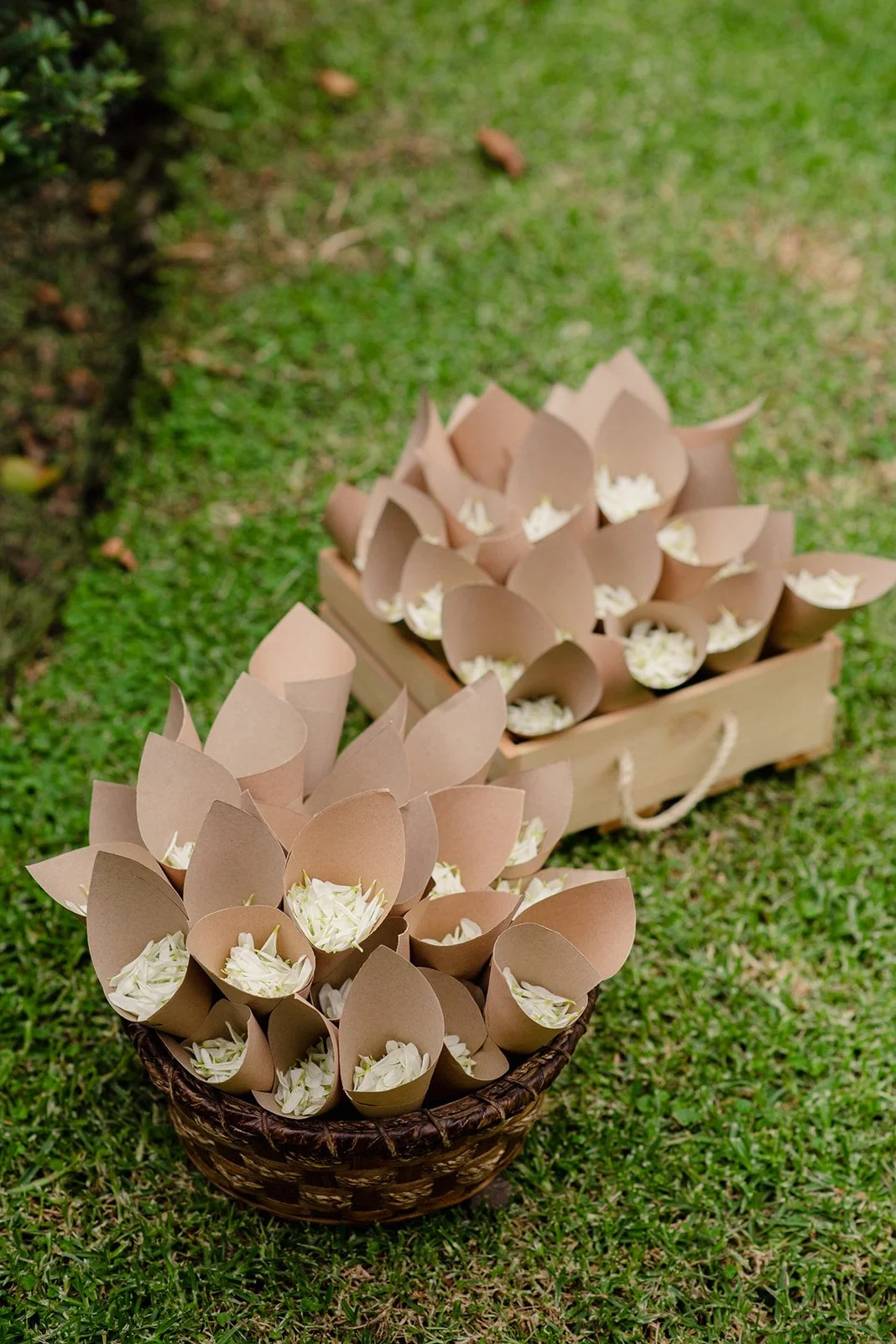 Ph. @miguelvelasquezfotografo