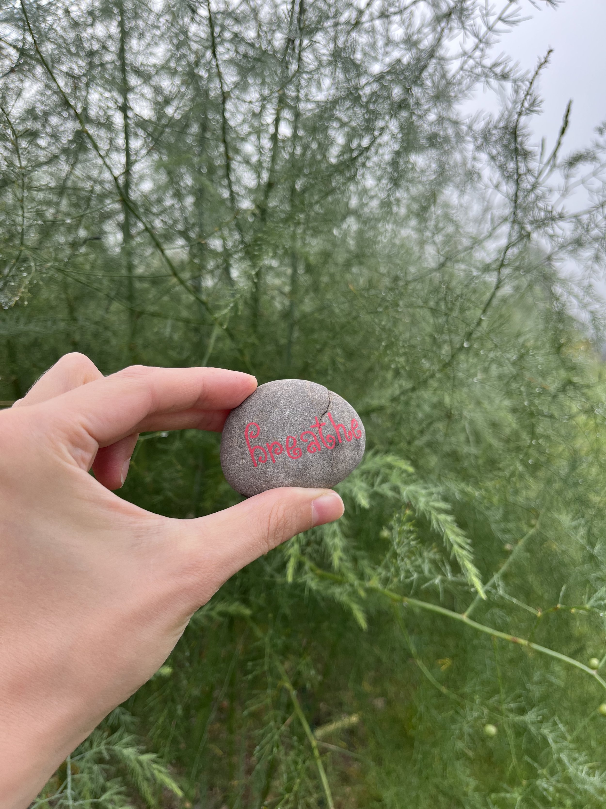 October Mindful Meetup - $20 per person
