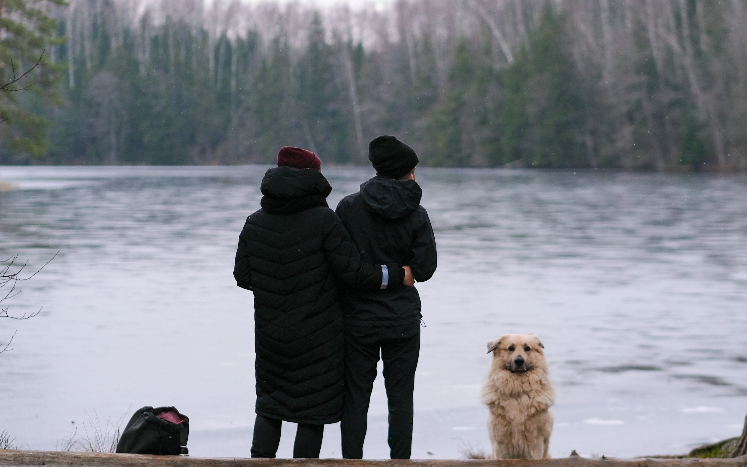 Breath Walk for Dog Lovers