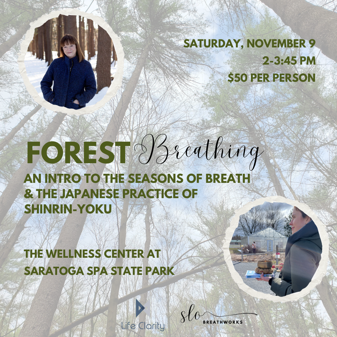 Forest Breathing: An Intro to Shinrin-Yoku and The Breath's Seasonality