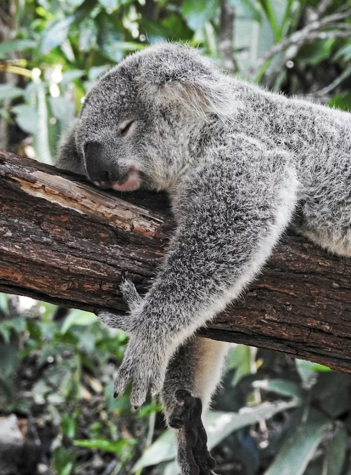 Breath Breaks for Sound Sleep