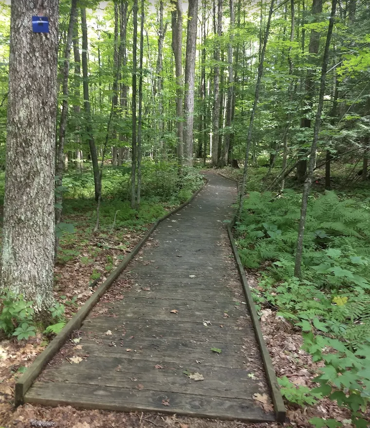 Breath Walk at Orra Phelps Preserve 