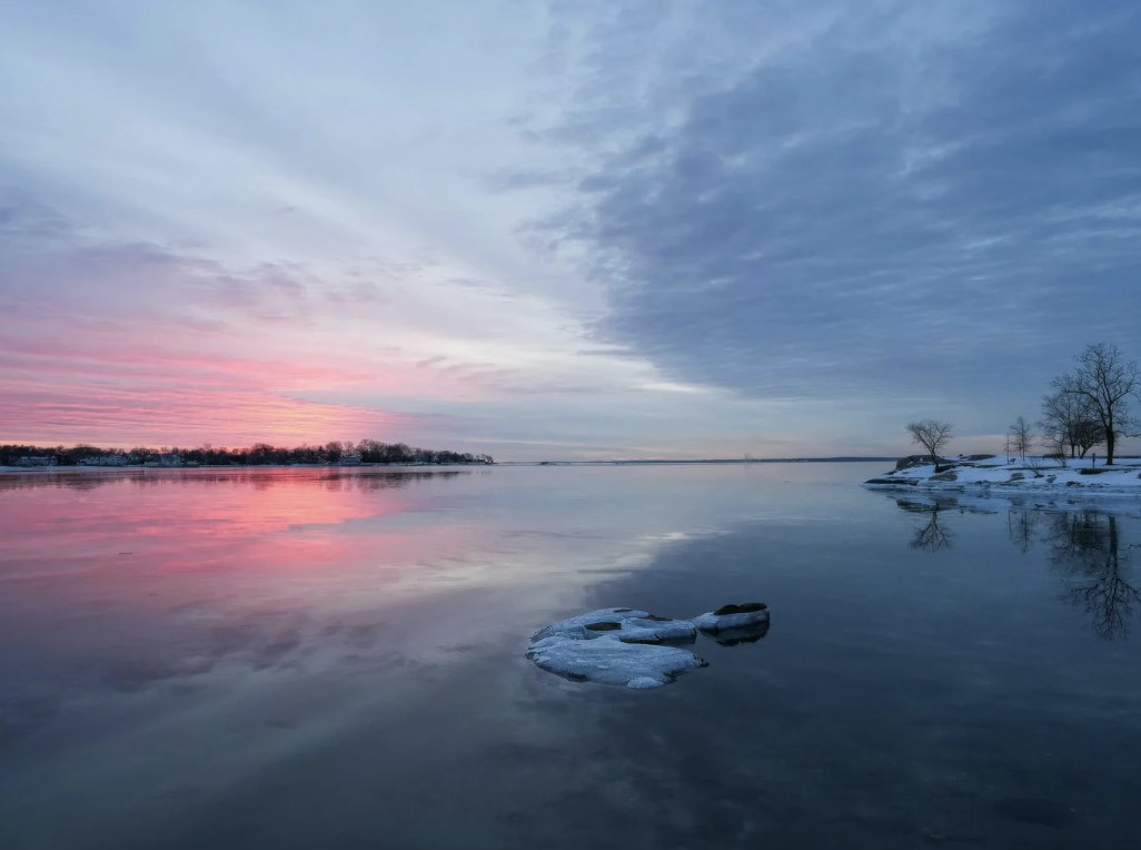 Connect with the Elements to Beat the Winter Blues Online Workshop  