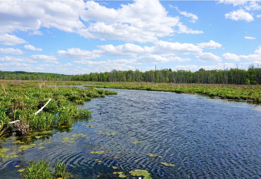 Breath Walk at Round Lake Preserve 