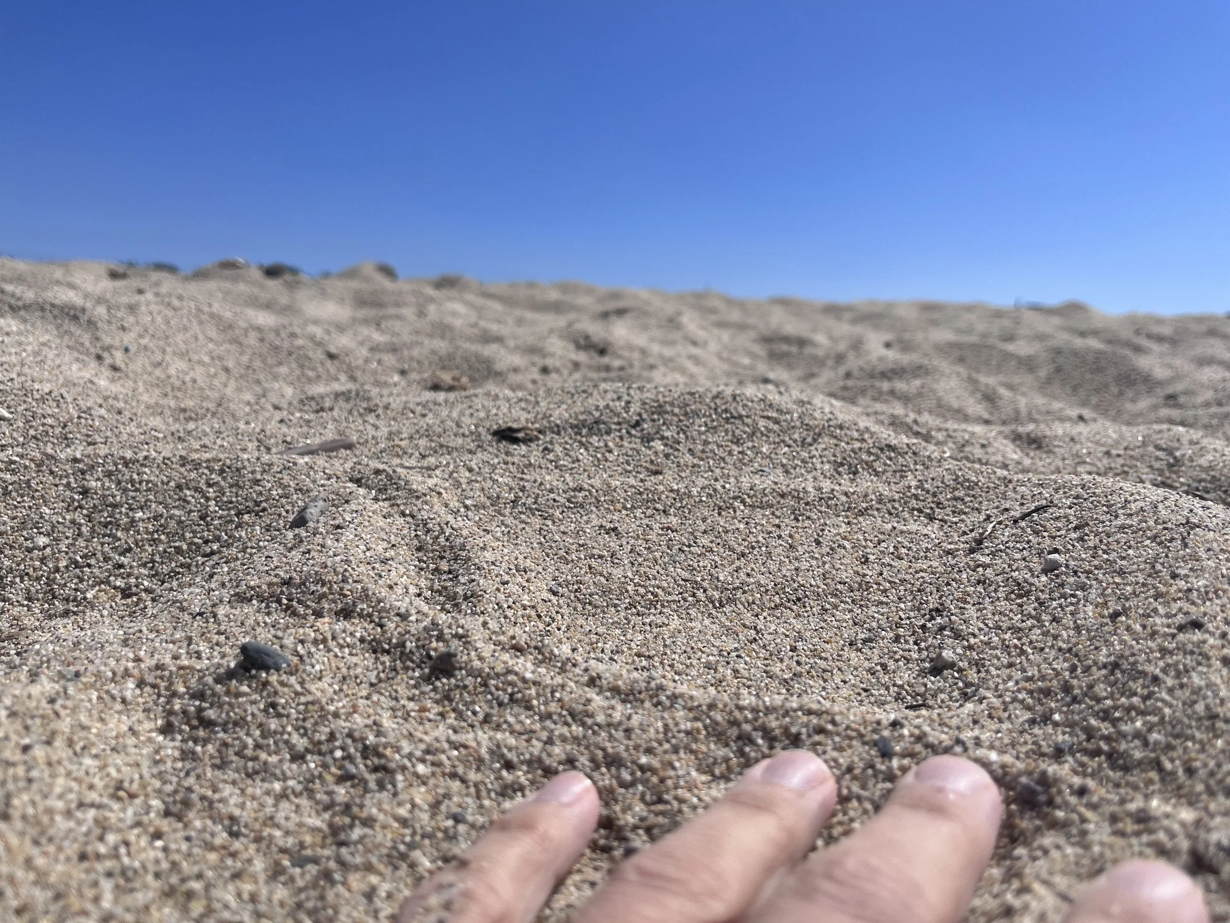 Hand on sandy beach with bright blue sky in the background