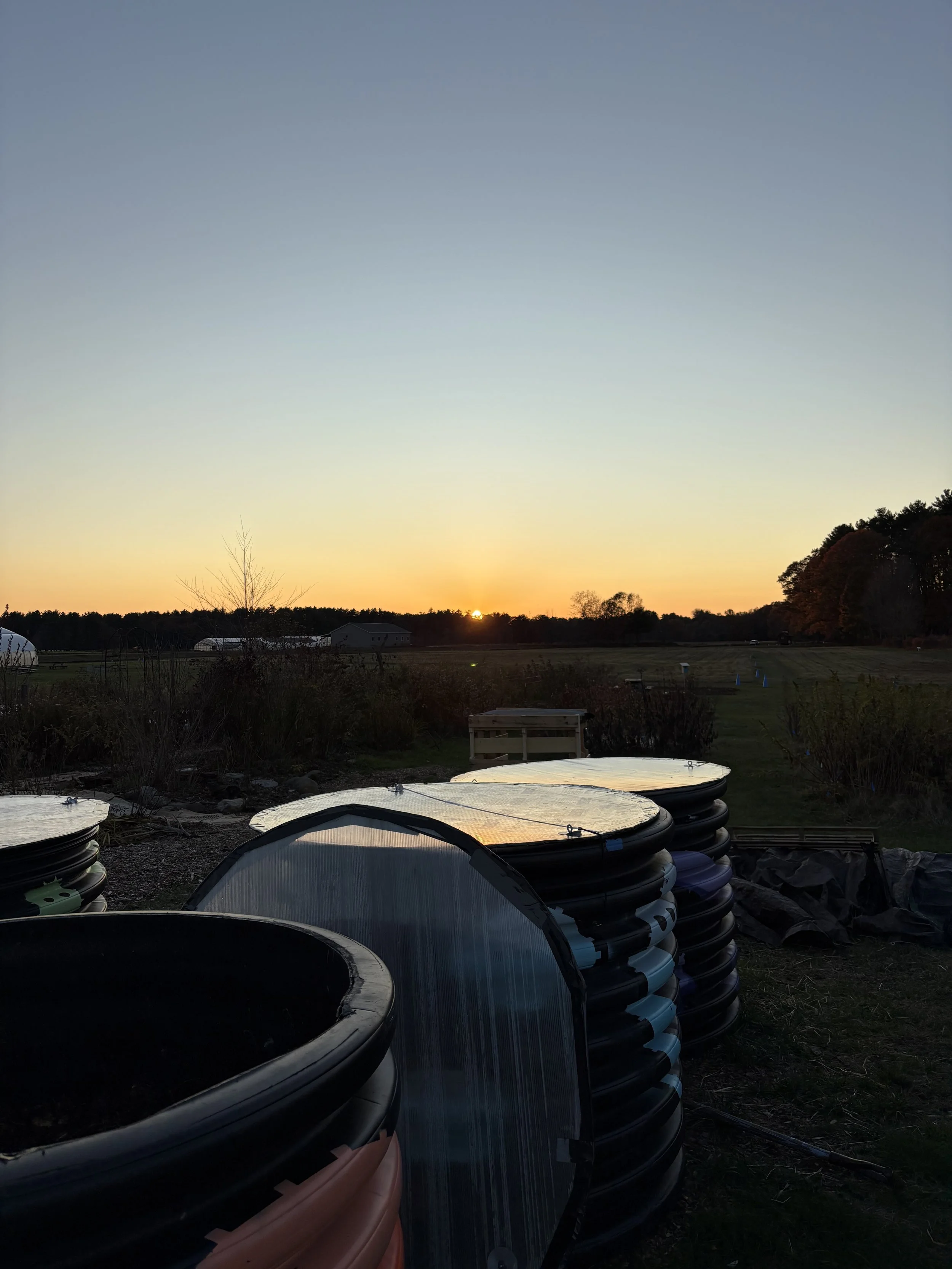 Sunset at composting program with the composting bins shown