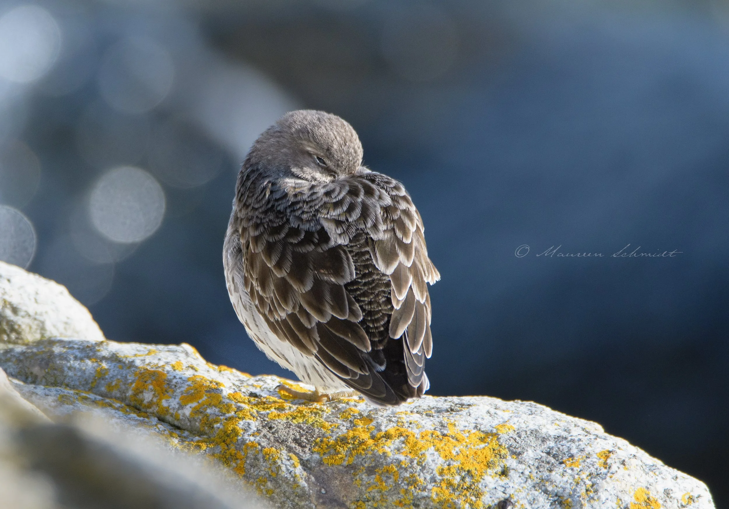 DSC_5173.jpg