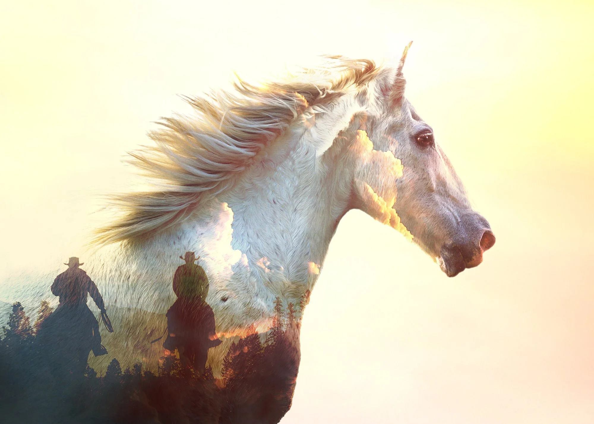 heart of a horse WEBjpg.jpg
