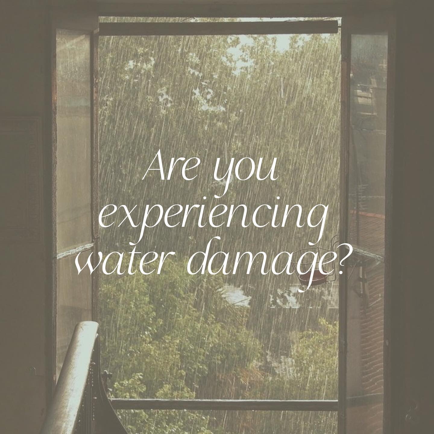 🌿Hello, friends. We hope you're doing well after the recent storms. You may be wondering if these storms have affected your home or business. They may have caused some water damage, which can lead to mold growth. And mold is not something you want t