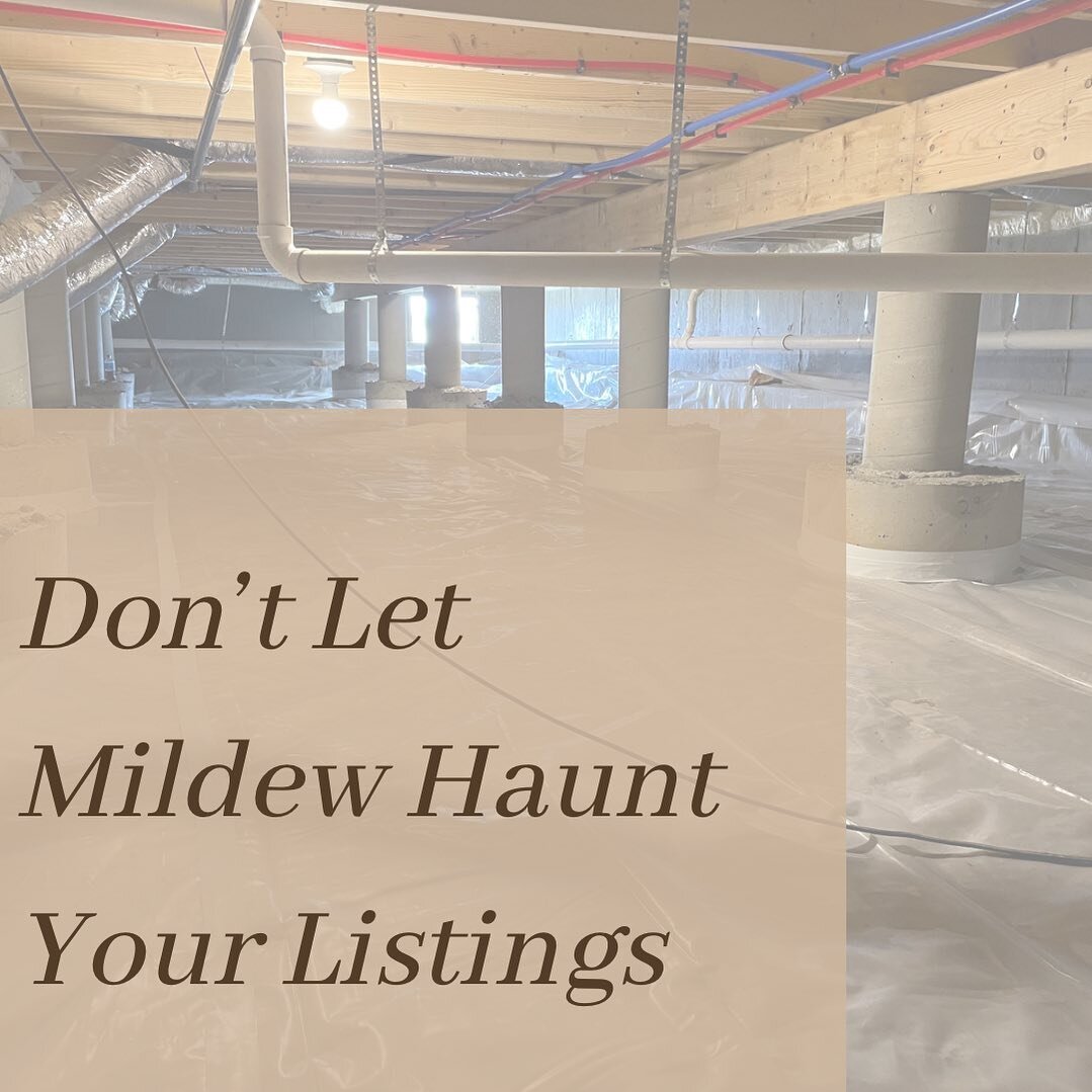Don't let mildew haunt your clients' crawl space! 🏠
If you are a realtor looking for a reliable partner to install vapor barriers in your properties, look no further than Clean Green Restoration. 💚
We are experts in creating healthy and energy-effi