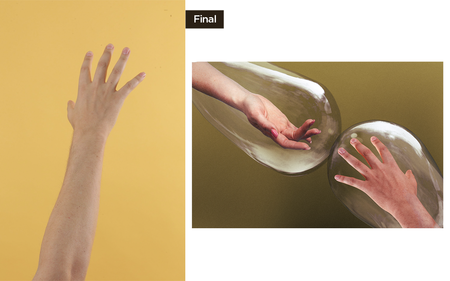 Horizontal_02.png