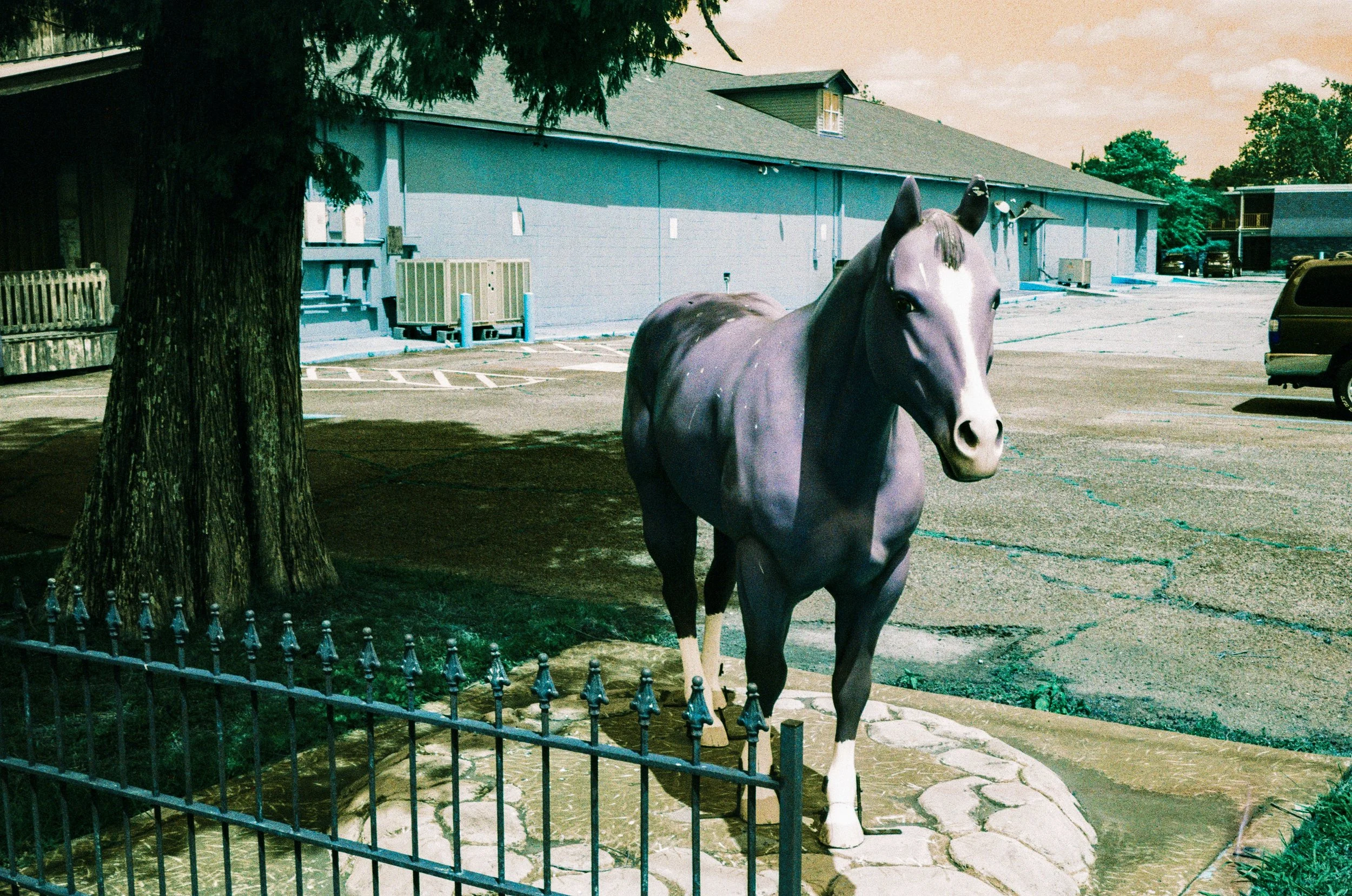 41-000094820034.jpg