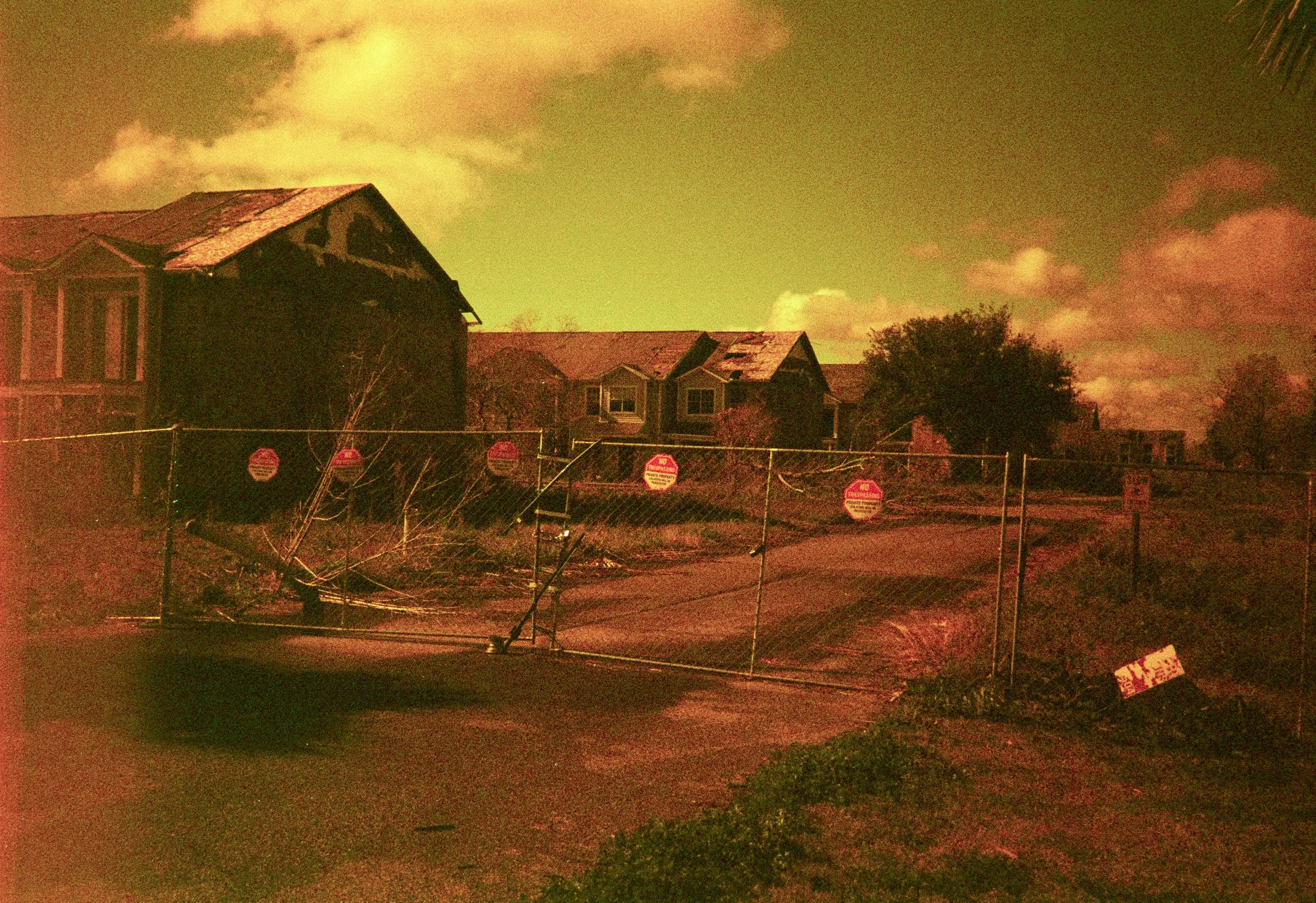29-Caleb-Redscale-2025-18-2-14.jpg
