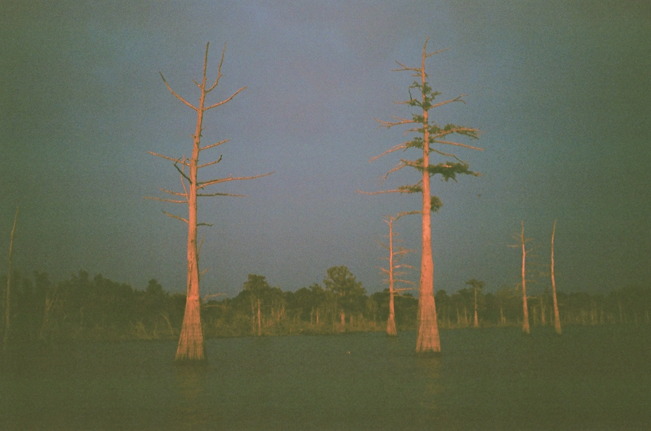 20-000420670014.jpg