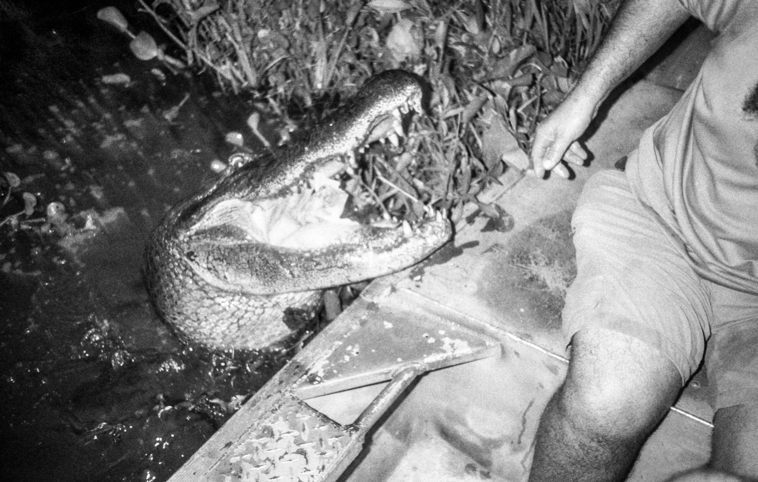 B/W Photo
