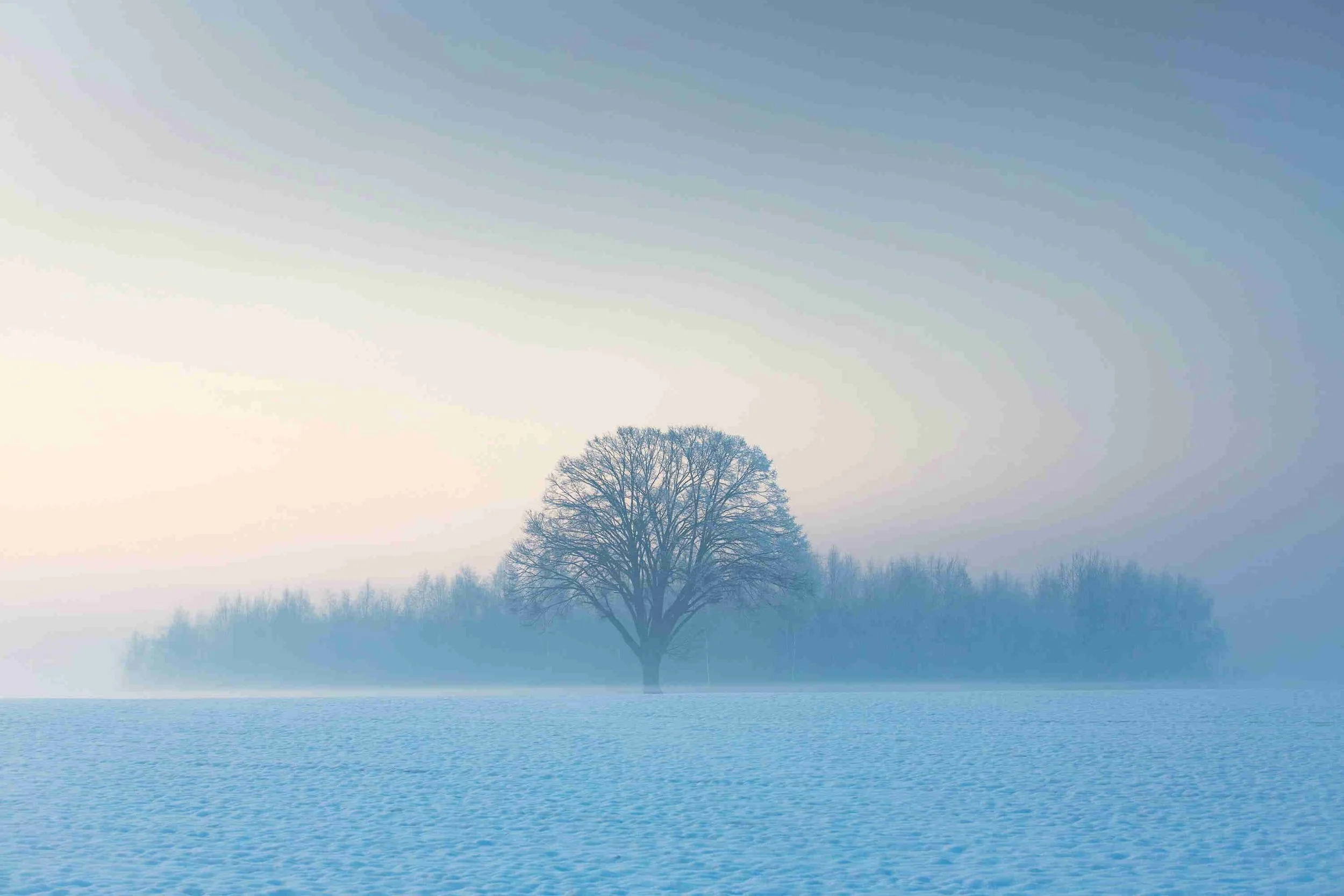 Why Positive Thinking Doesn't Work for Trauma
