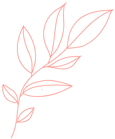 Light pink botanical line-art graphic representing growth and healing, used on Linda Chi’s EMDR intensive therapy OKC page to illustrate how four hours of intensives can equal a month of weekly sessions with deeper momentum and breakthrough.