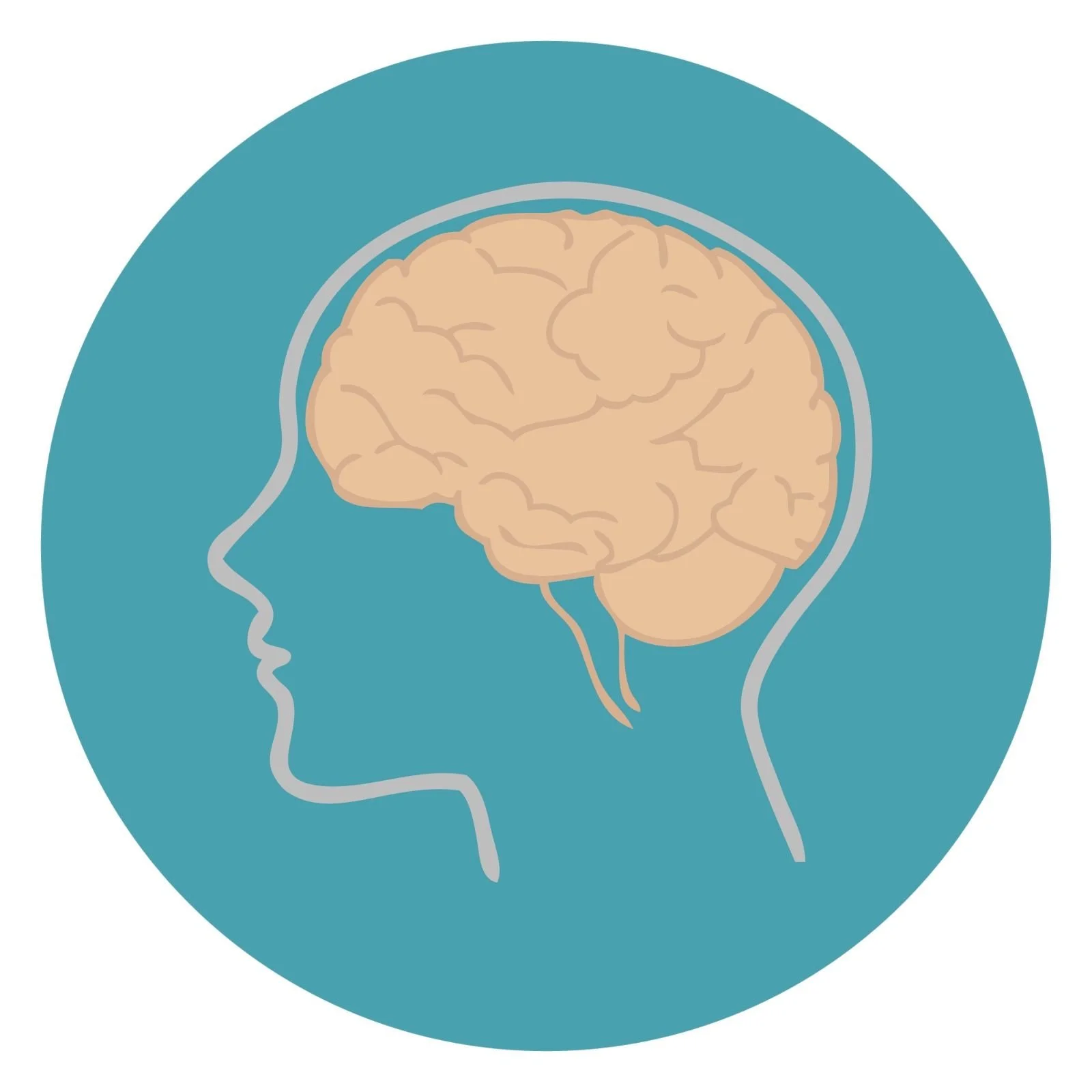 Illustration of a human brain inside a head silhouette, symbolizing how trauma is stored in the brain and nervous system. Represents EMDR therapy and trauma reprocessing for anxiety, emotional triggers, and unresolved trauma patterns.