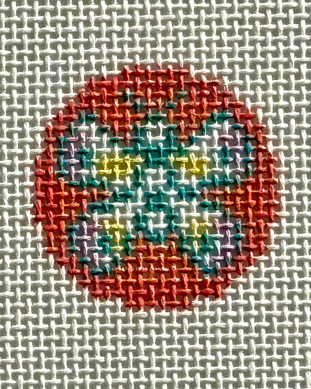 Mini Butterfly Coral