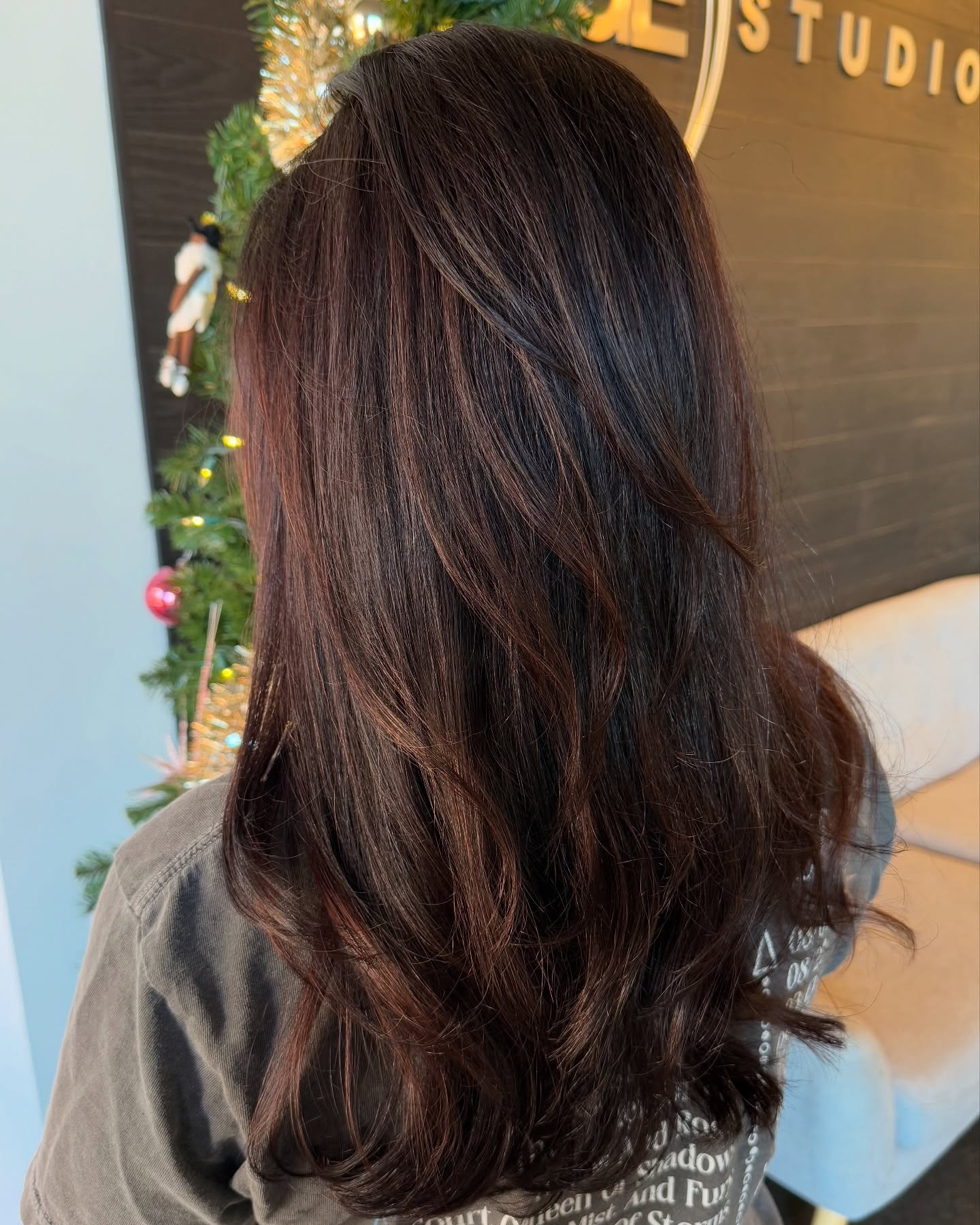 ✨Brunette Beauty ✨cut, color and style by 👉🏻@katecribbshairstylist