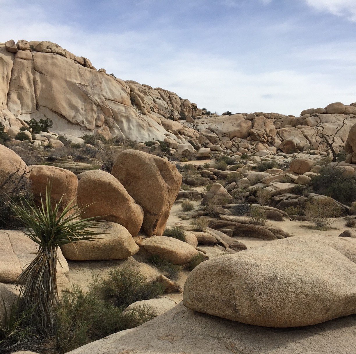 Be Still and Know That I am God