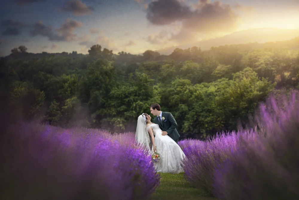 Wedding photograph 4 by Brodie Ledford Studios