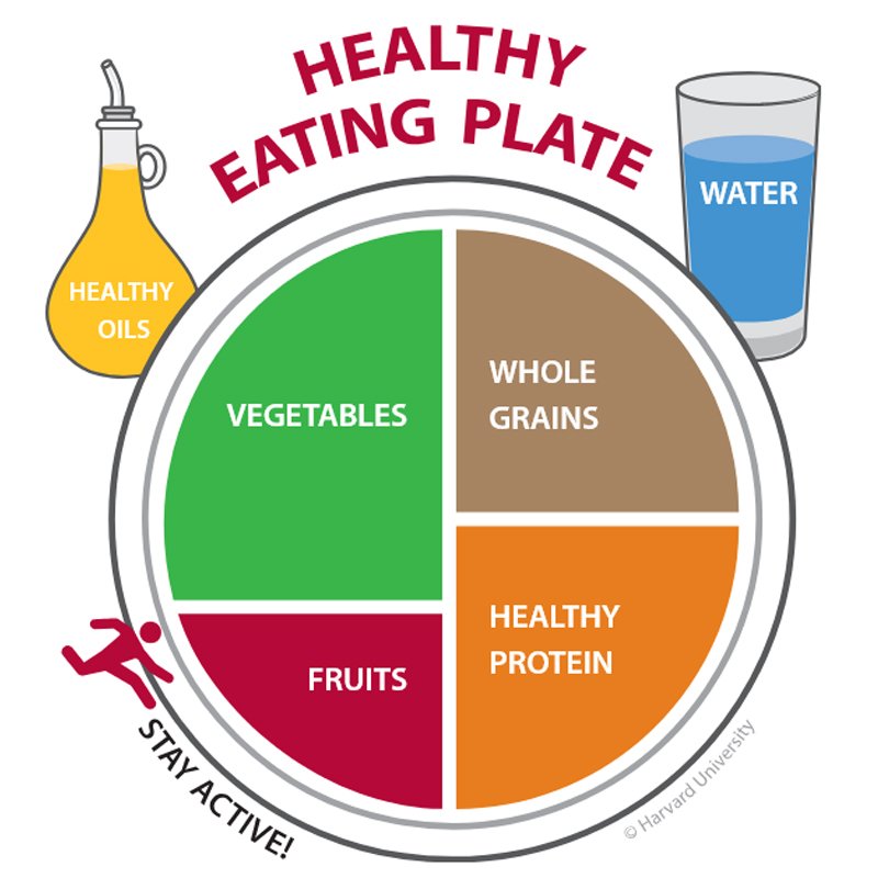 Website: The Nutrition Source