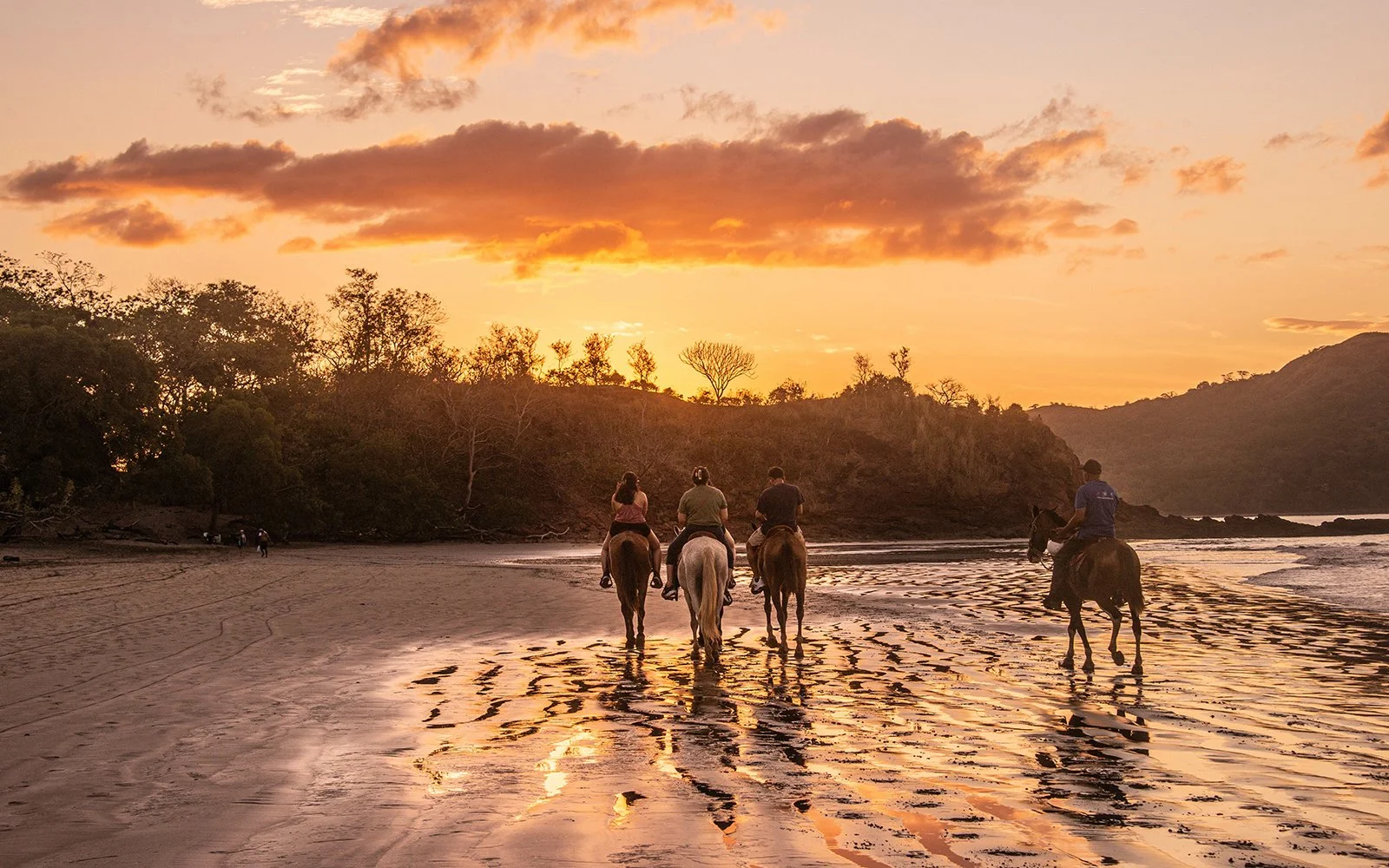 Blue Zones and Ultradian Rhythms: A Blueprint for Health and Longevity&nbsp;