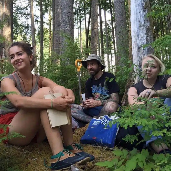 Wild Medicinal Plant Walk