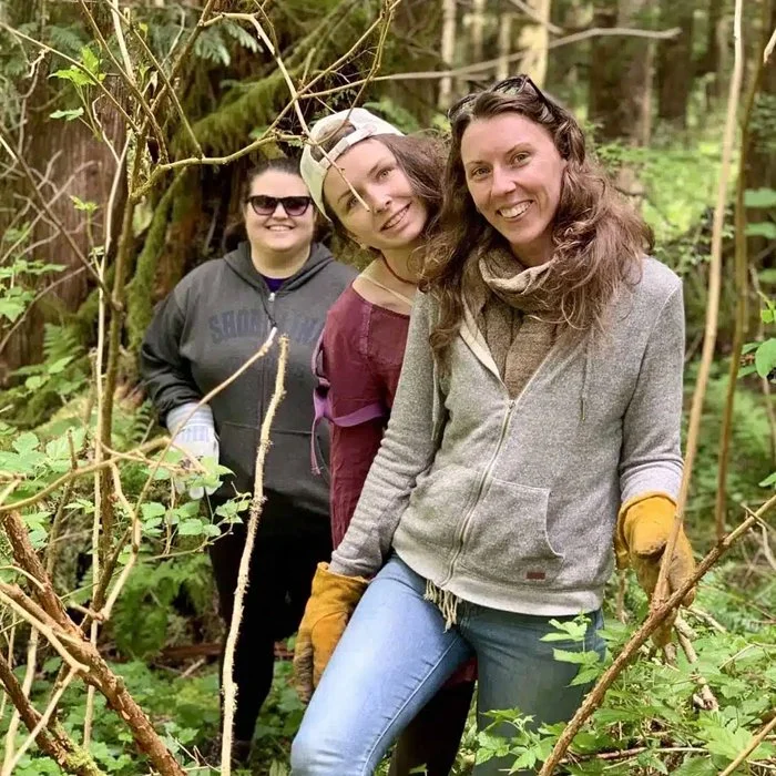 3-Day Autumn Harvest Herbal Intensive: Learn, Forage, Create