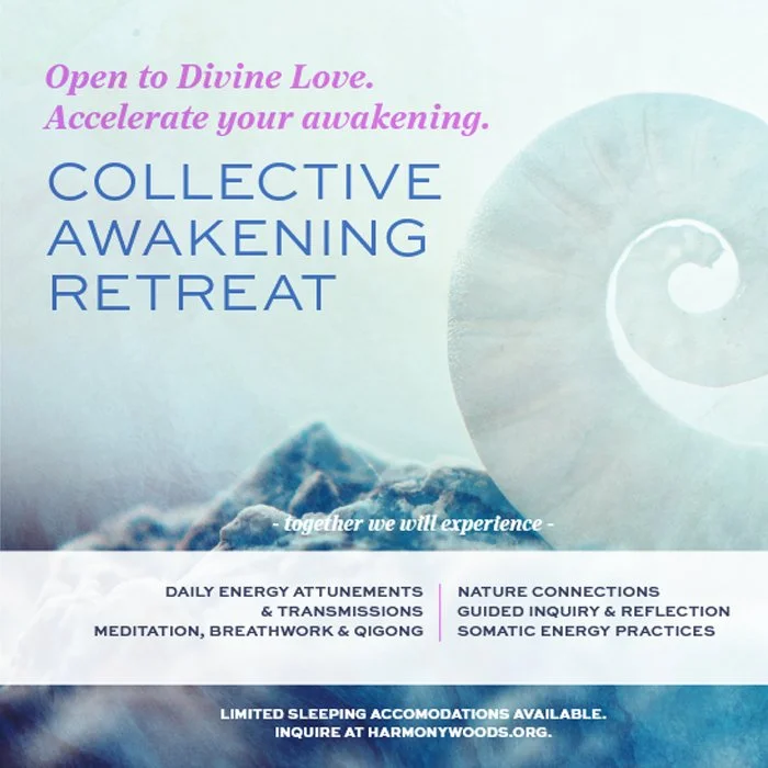 Collective Awakening Retreat