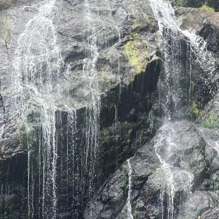 Special Event: (VIRTUAL) Sacred Waters - The Medicine and Art of Ritual Bathing
