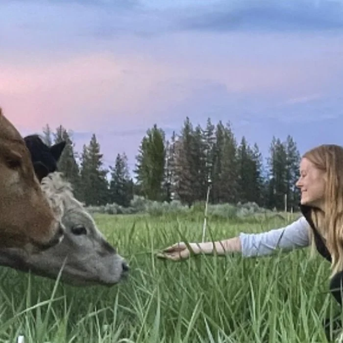 Special Event: Sound Bath On The Farm