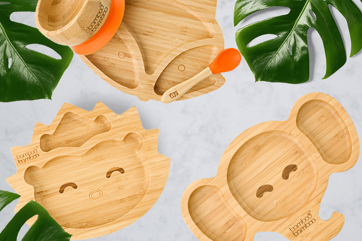 E-Commerce Web Email 