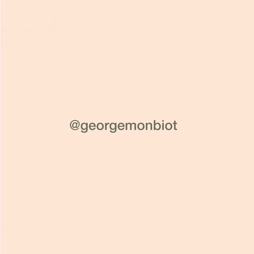 210912_Noble Rot6.jpg