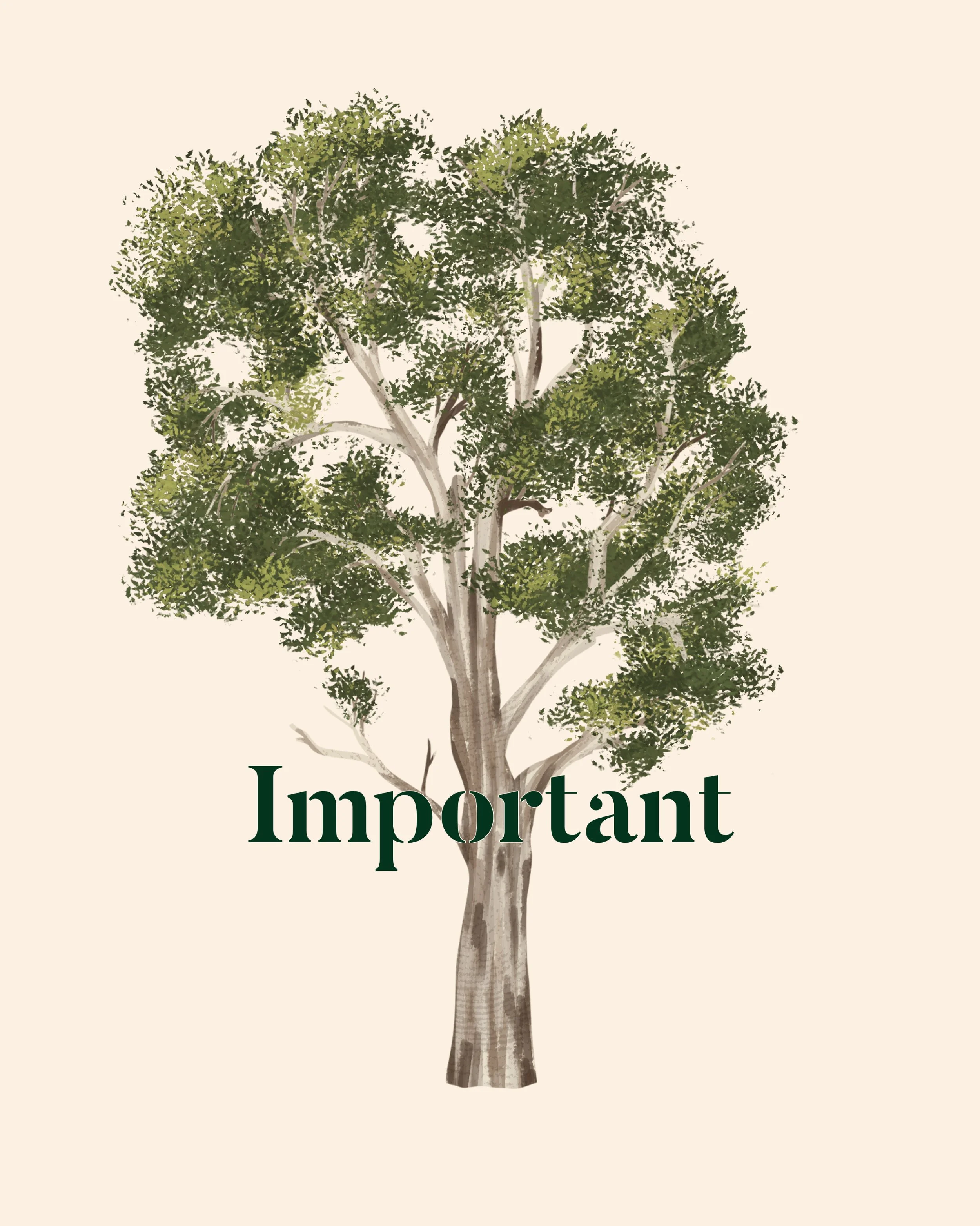 221218_An important tree is a tree in place.jpg