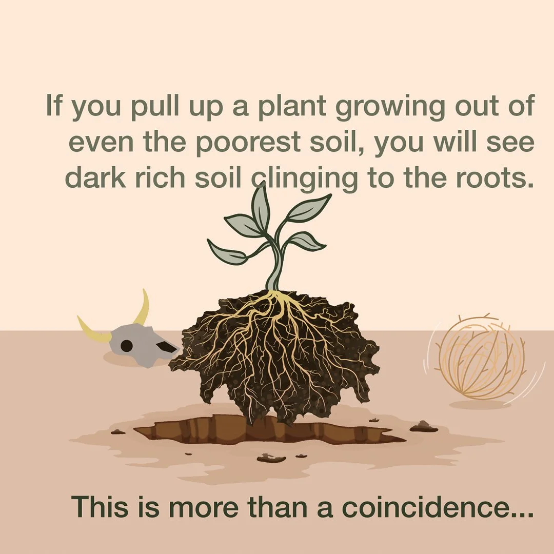 211126_Root Zone2.jpg