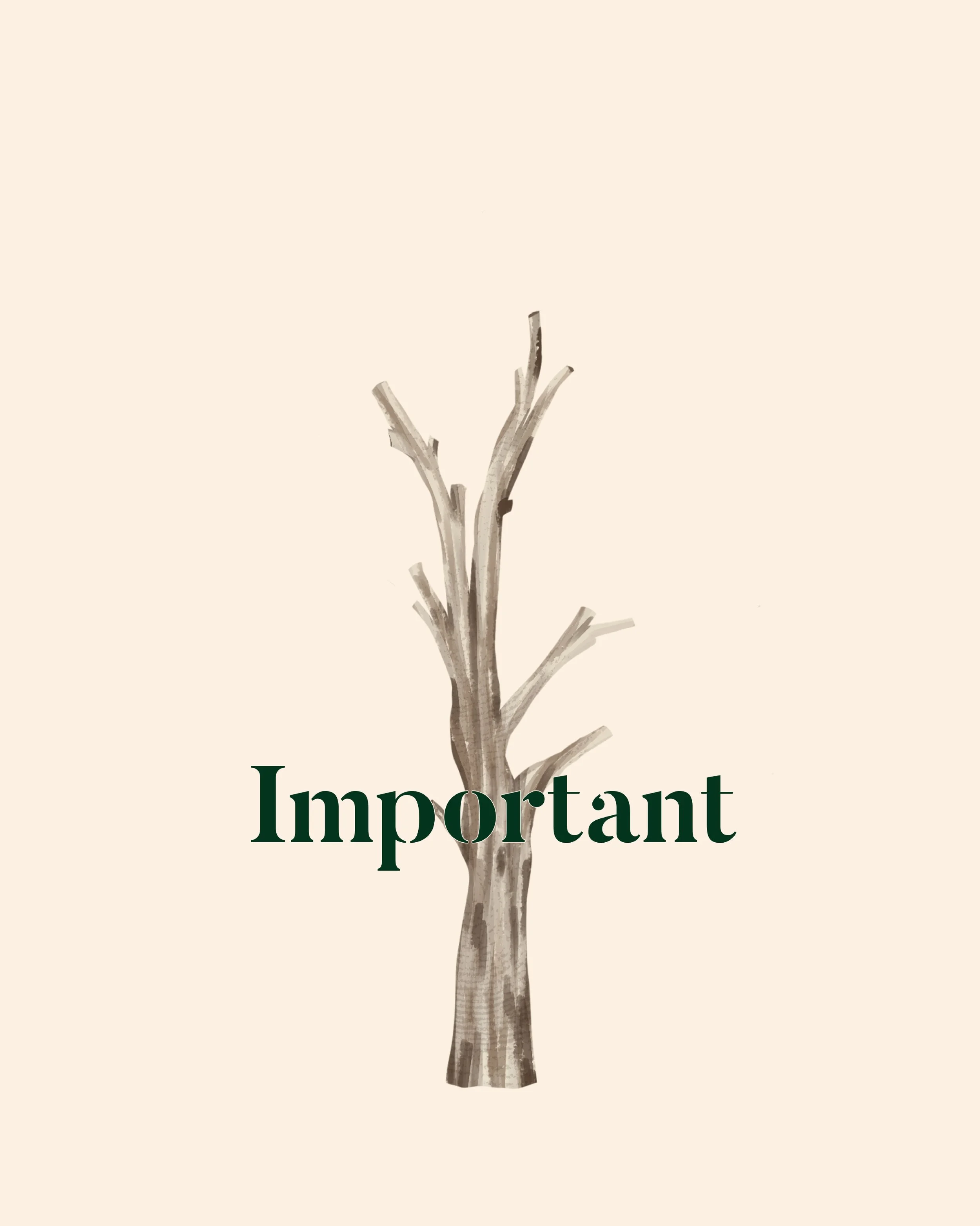 221218_An important tree is a tree in place3.jpg