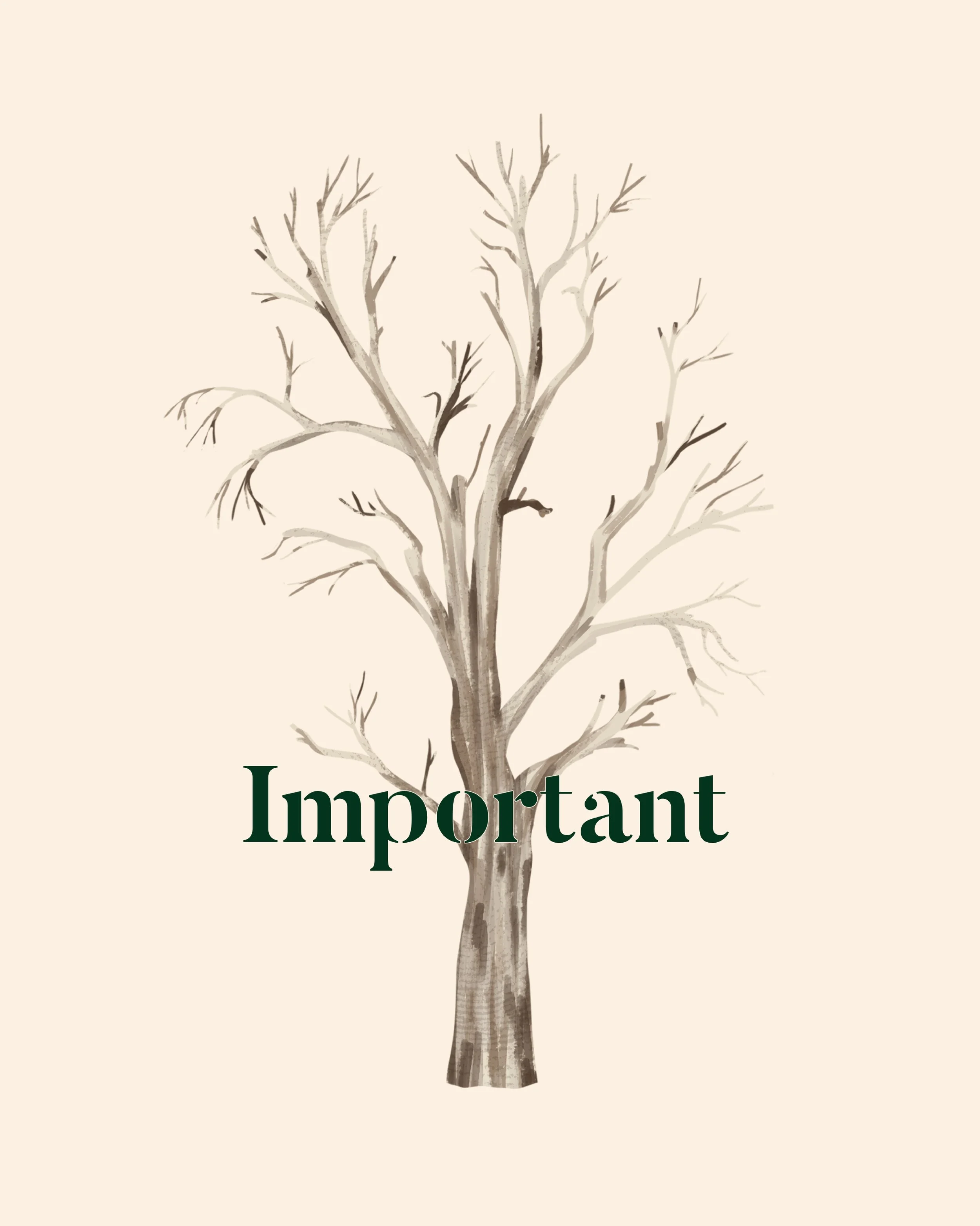 221218_An important tree is a tree in place2.jpg