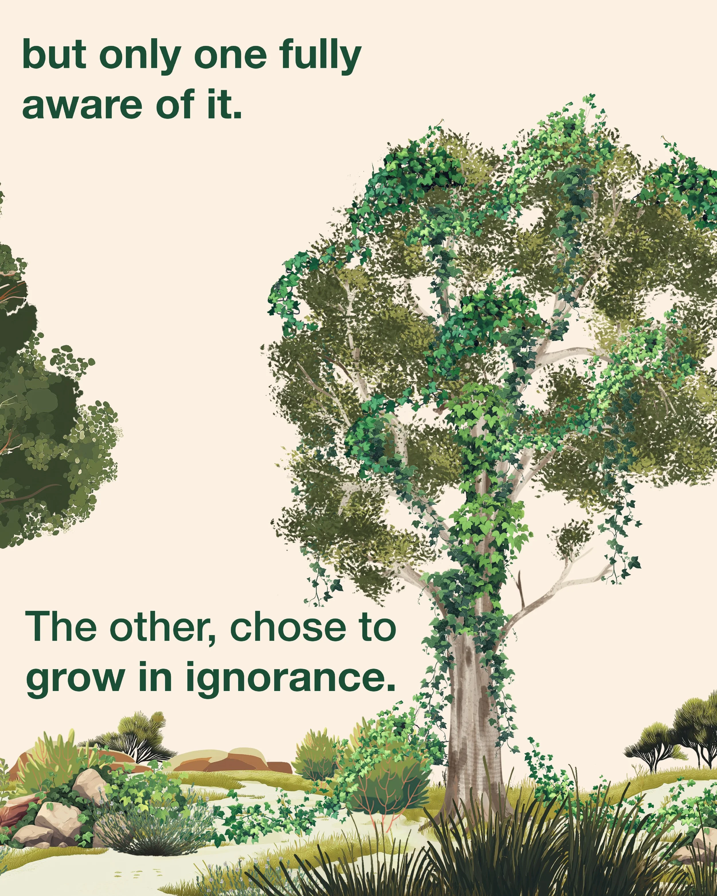 240906_All Life Begins and Ends with a Seed3.jpg