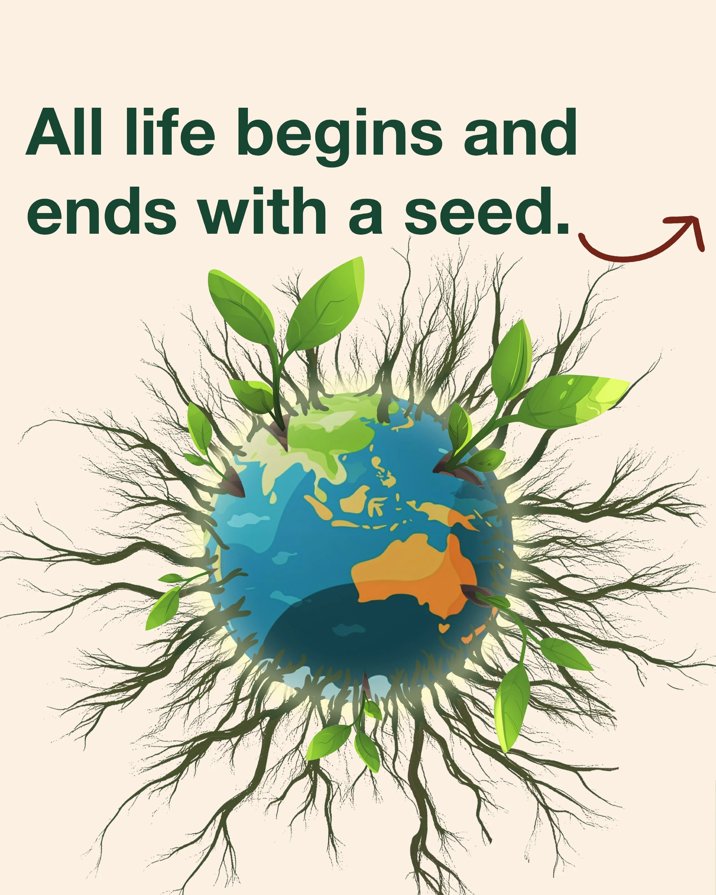 240906_All Life Begins and Ends with a Seed.jpg