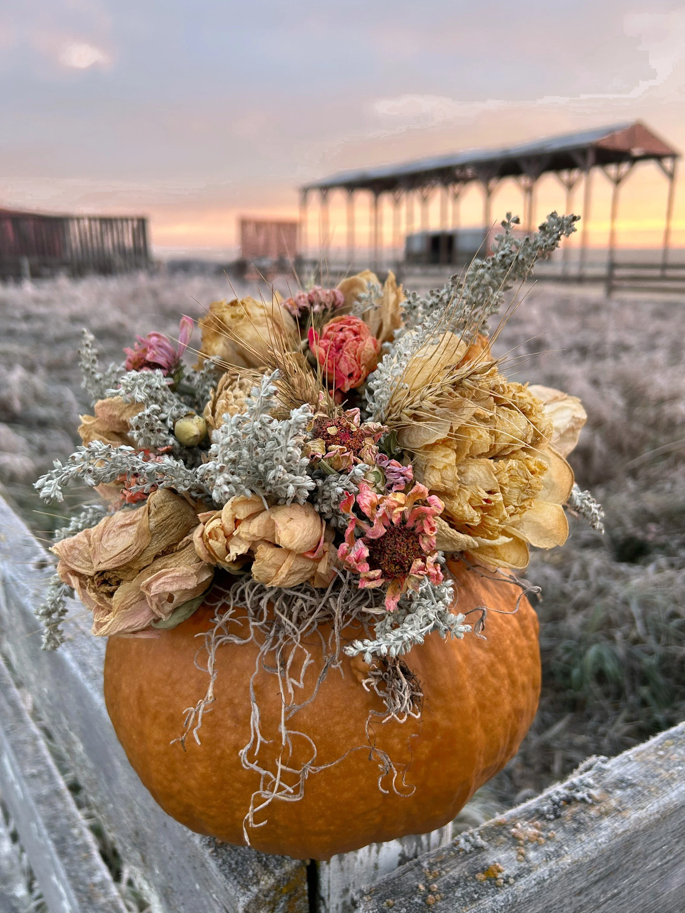 Autumn Harvest Dried Floral Pumpkins