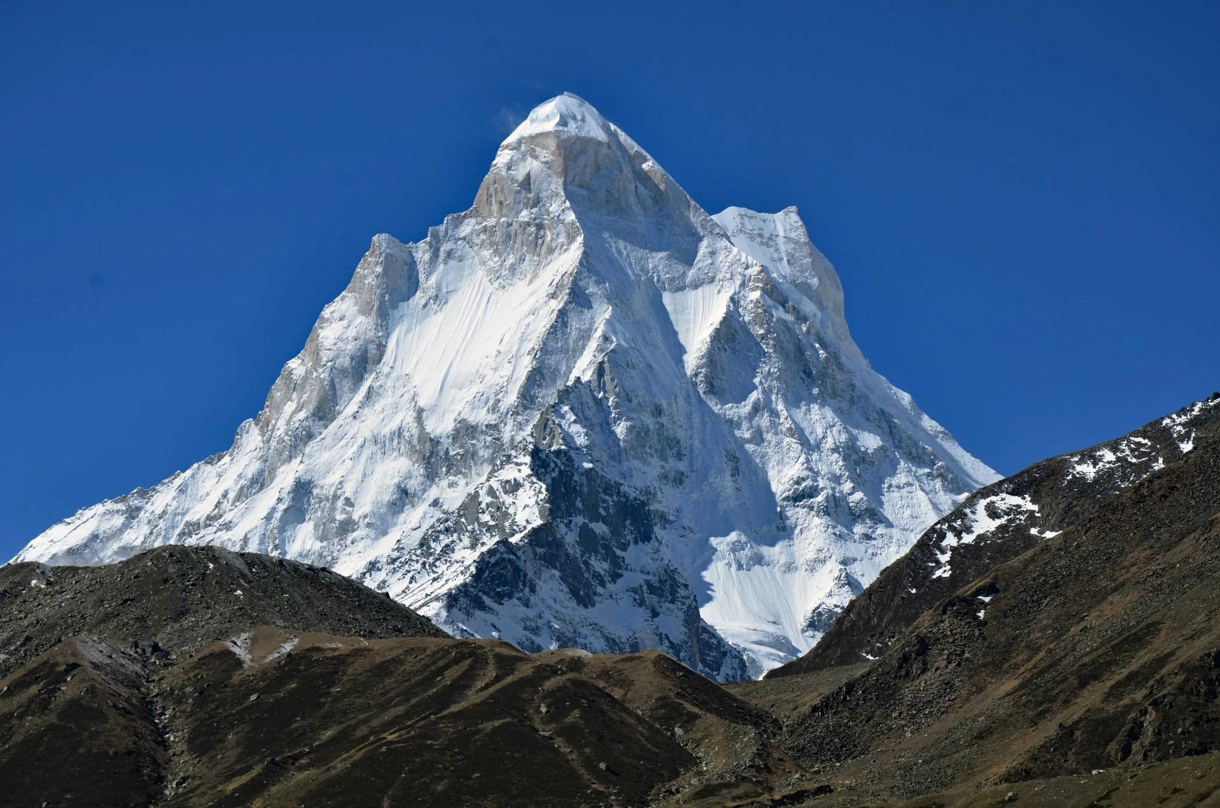 Gangotri Gaumukh Tapovan