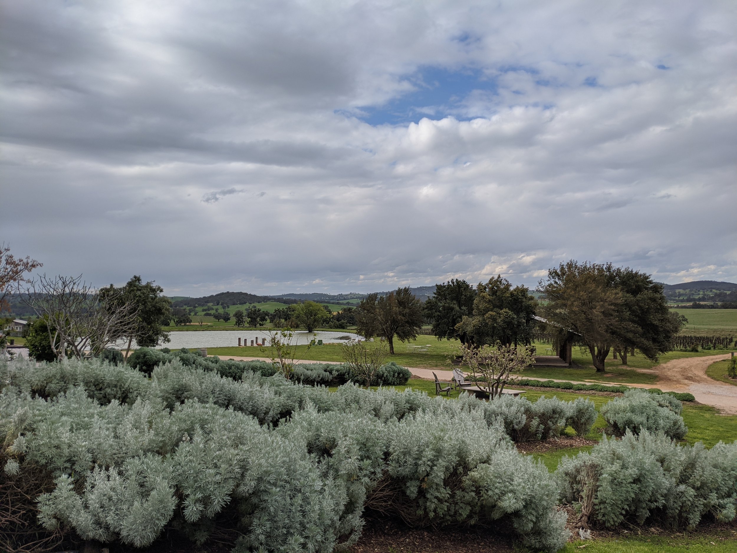 Lowe Family Wines